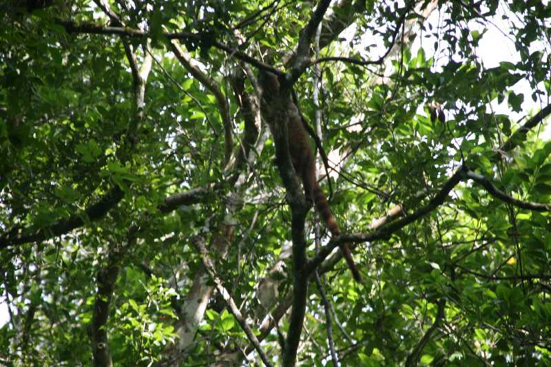 Mexico & Guatemala 2010 - 1065